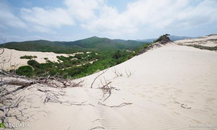 La natura incontaminata e le dune di Piscinas